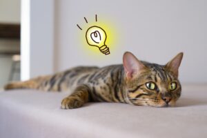 今日は何の日?~8月3日~