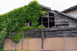 実家が空き家になる前に考えたいこと